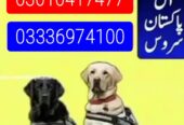 Army dog center 03336974100
