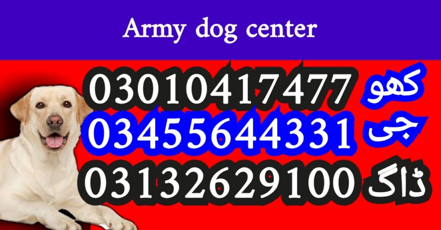 Army dog center 03010417477