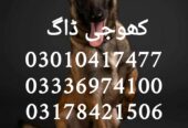 Army dog center 03010417477