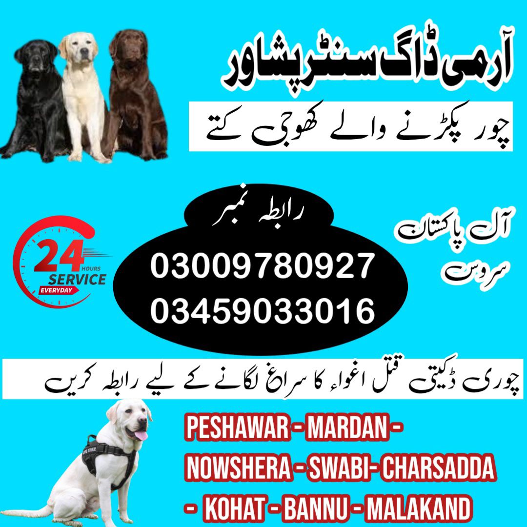 Army Dog Center Peshawar 03459033016 ( Khoji Dogs Contact Number Peshawar)