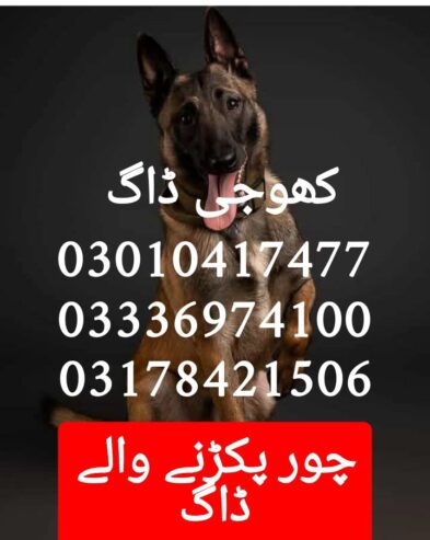 Army dog center pk 03336974100
