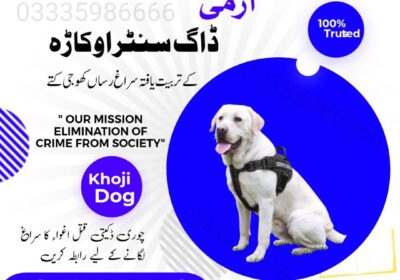 4f5f3f58-1547-4552-bdbd-9031a5cb3f2d