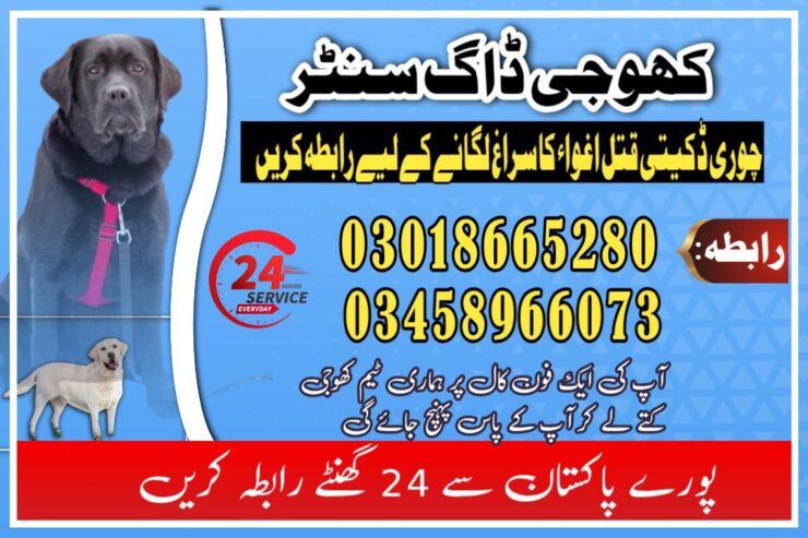 Khoji Dogs Okara 03005373788 | Khoji Kutta Service Okara
