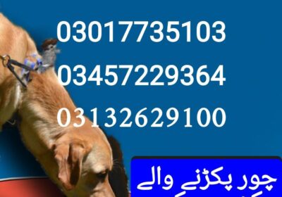 5f648d14-a351-4080-b060-b8e2d6efcbdb