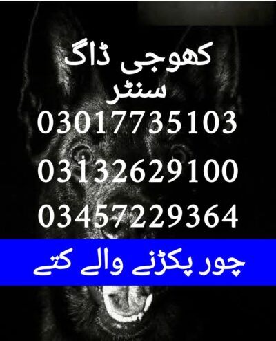 Army dog center okara 03017735103