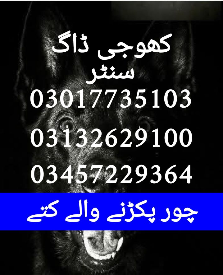 Army dog center okara 03017735103