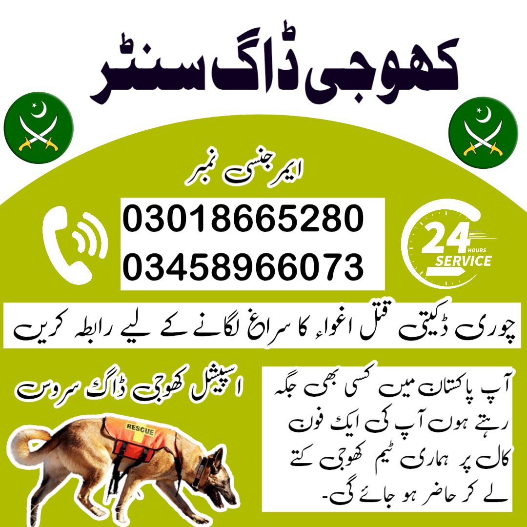 Army Dog Center Peshawar 03459033016 ( Khoji Dogs Contact Number Peshawar)