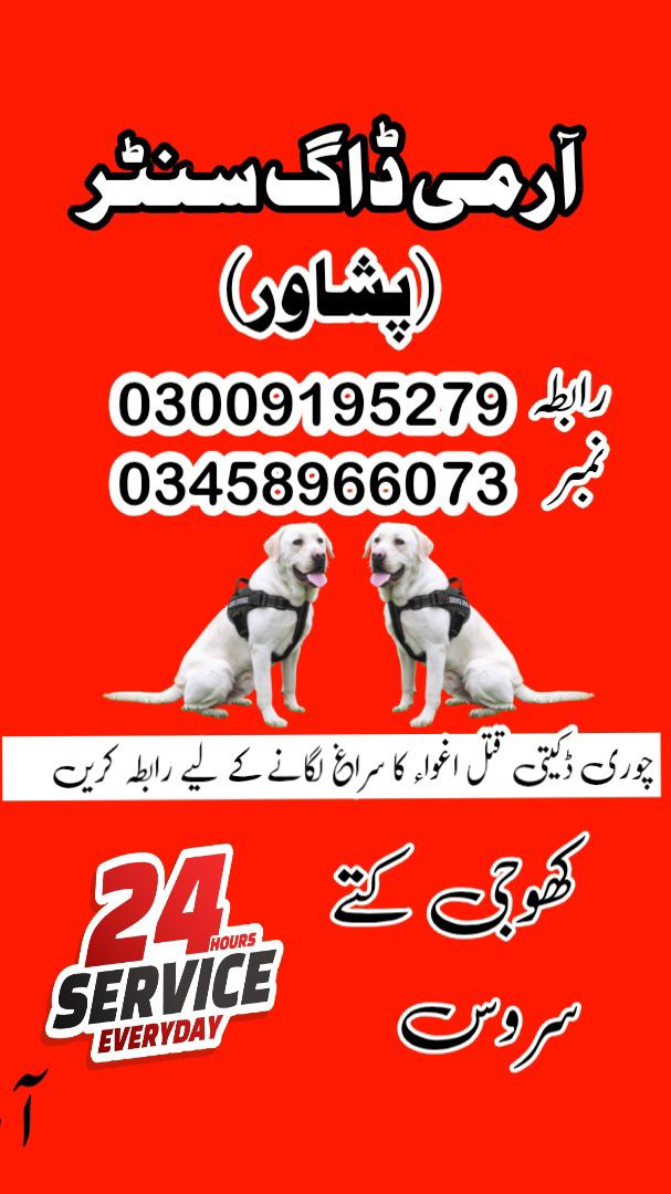 Army Dog Center Peshawar 03459033016 ( Khoji Dogs Contact Number Peshawar)