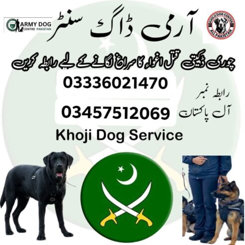 Army Dog Center 03336021470