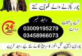 Army Dog Center 03458966073