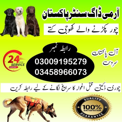 Army Dog Center 03458966073