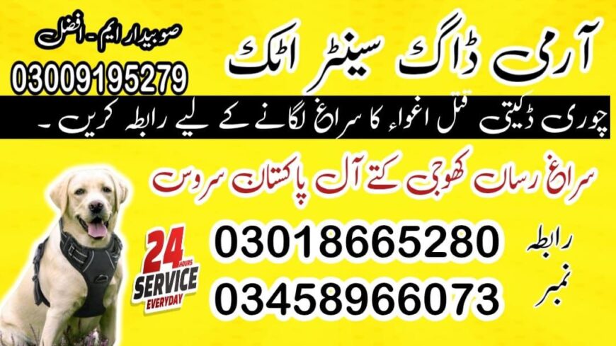 Army Dog Center Attock 03009195279 | Dog Centre Contact Number Attock