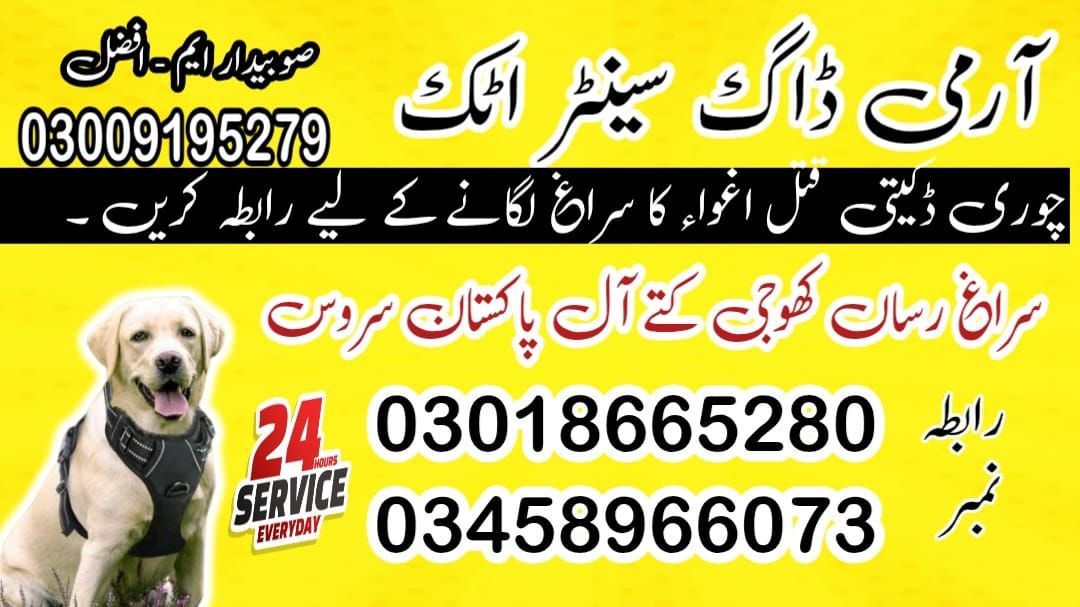 Army Dog Center Attock 03009195279 | Dog Centre Contact Number Attock
