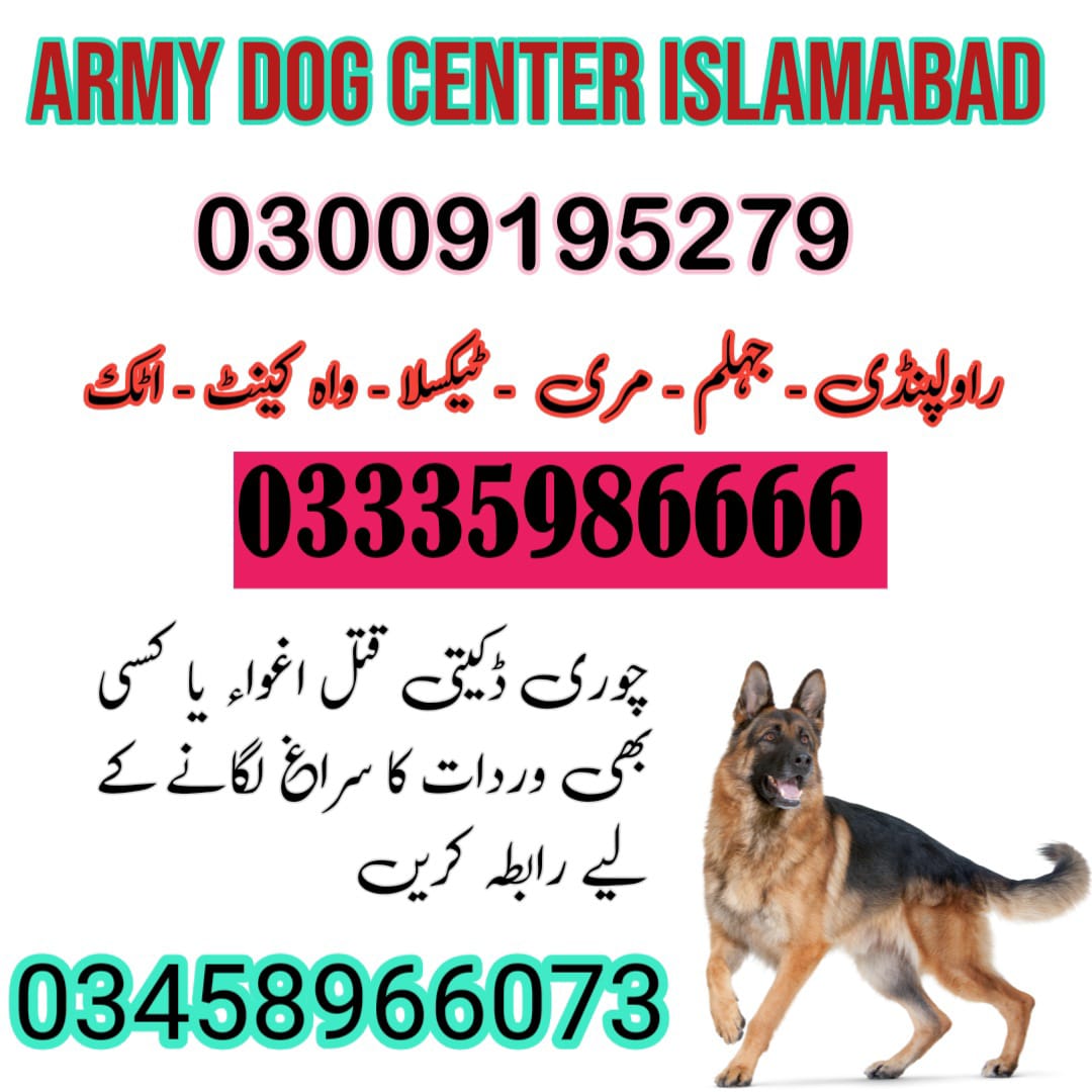 Khoji Dog Center Islamabad 03018665280 (کھوجی ڈاگ)
