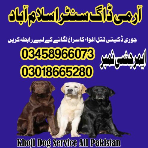Army Dog Center Islamabad 03458966073