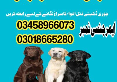 WhatsApp-Image-2024-06-10-at-21.56.44_9ff95e62