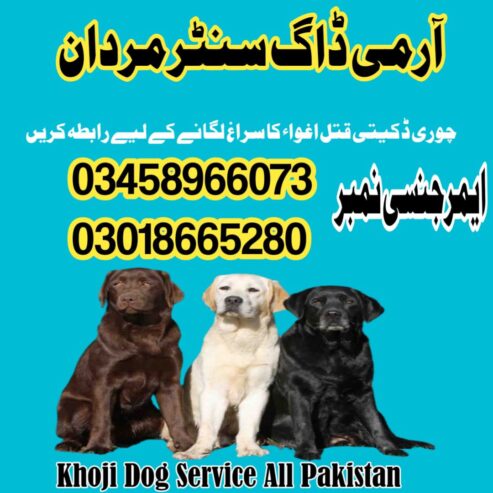 Army Dog Center Mardan 03458966073