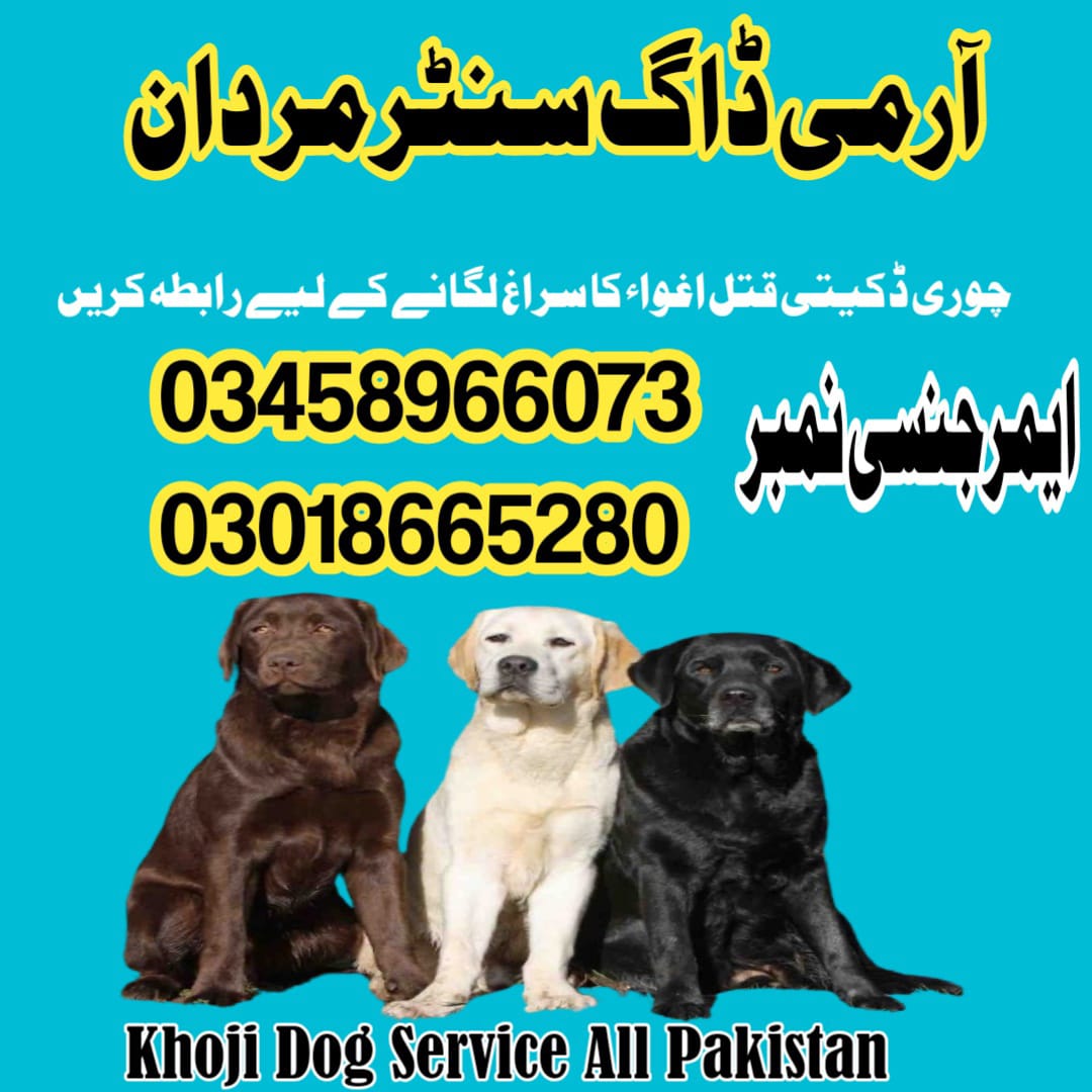Army Dog Center Mardan 03458966073