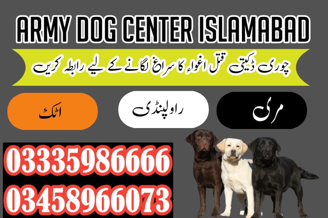 Khoji Dog Center Islamabad 03018665280 (کھوجی ڈاگ)