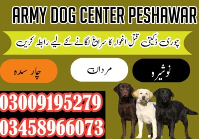WhatsApp-Image-2024-06-10-at-21.56.46_fa6c95eb-1