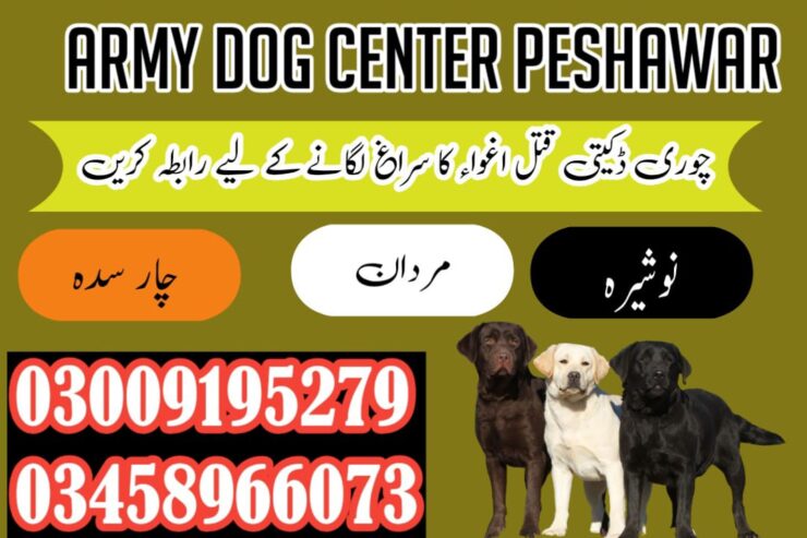Army Dog Center Khyber_Pakhtunkhwa 03018665280