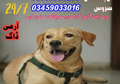 WhatsApp-Image-2024-06-12-at-12.53.22_e49ad310