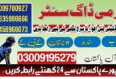 Army Dog Center Khyber_Pakhtunkhwa 03018665280