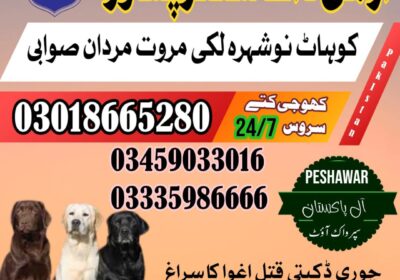 WhatsApp-Image-2024-09-01-at-6.01.23-PM