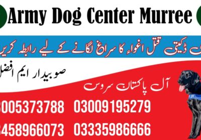 WhatsApp-Image-2024-09-01-at-6.01.43-PM-1