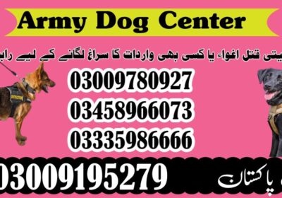 WhatsApp-Image-2024-09-01-at-6.02.29-PM-1