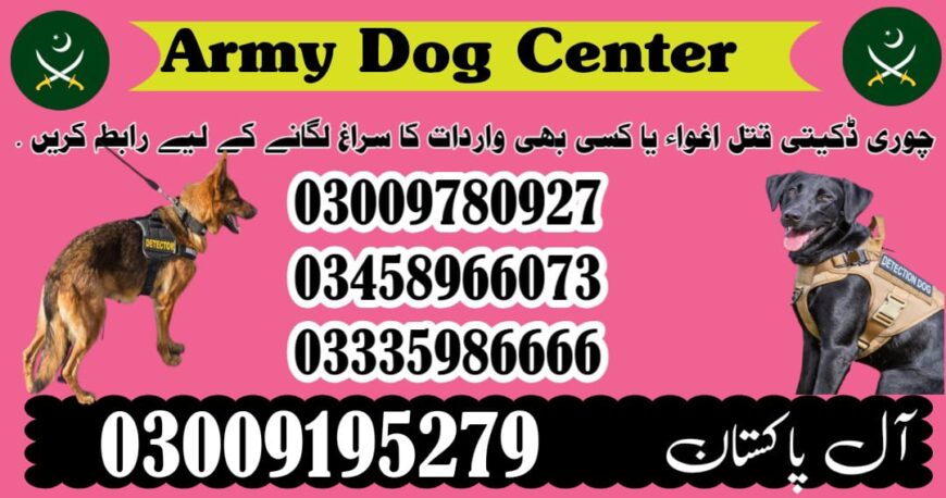 Army Dog Center Swabi 03458966073 | Khoji Dogs In Swabi