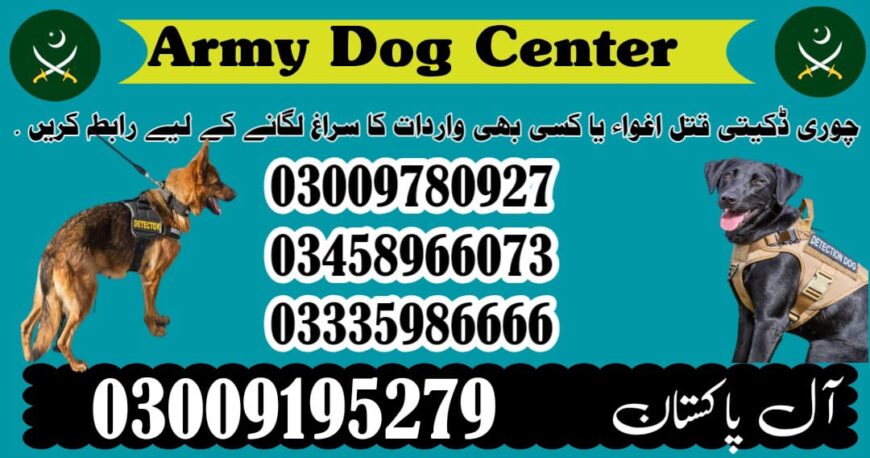 Army Dog Center Mardan 03458966073