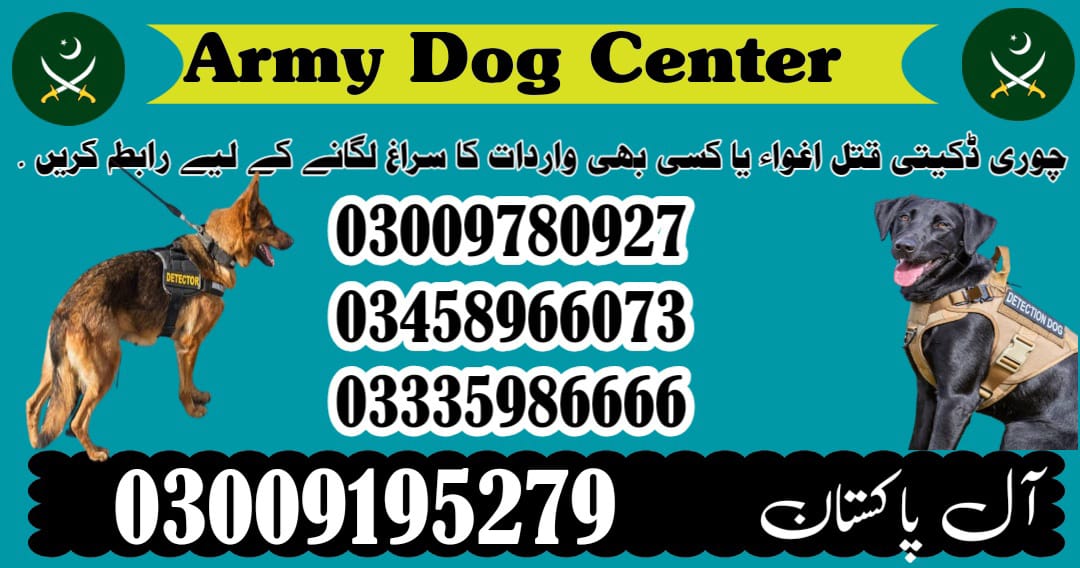 Army Dog Center Mardan 03458966073