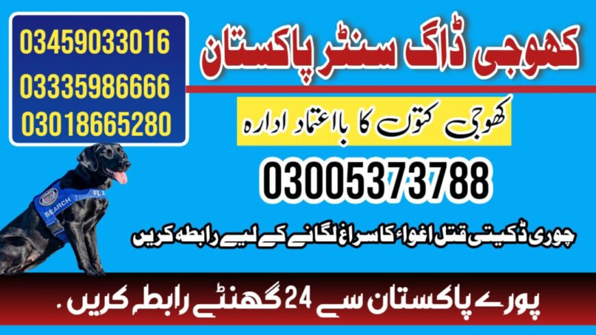 Khoji Dog Center Nowshera 03018665280 (Khoji Kutte)