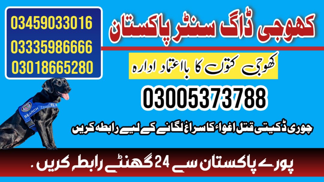 Khoji Dog Center Nowshera 03018665280 (Khoji Kutte)