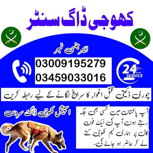 Khoji Dogs Okara 03005373788 | Khoji Kutta Service Okara