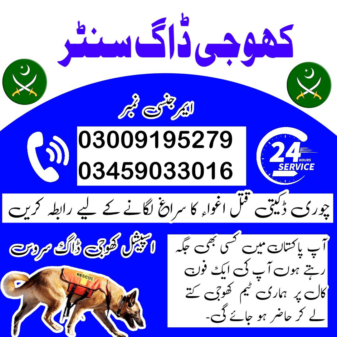 Khoji Dogs Okara 03005373788 | Khoji Kutta Service Okara
