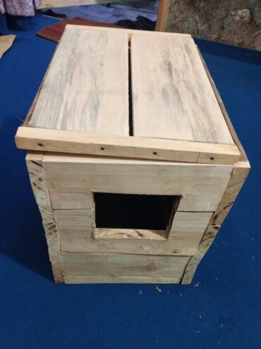 Breeder Box (03284367551)