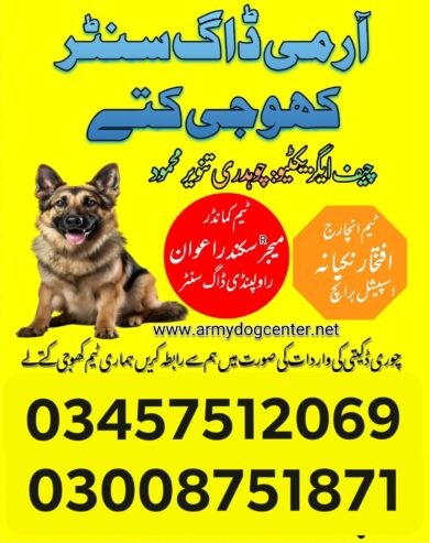 Army dog center Islamabad 03008751871