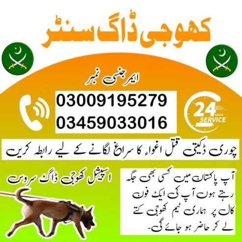 Khoji Dogs Okara 03005373788 | Khoji Kutta Service Okara