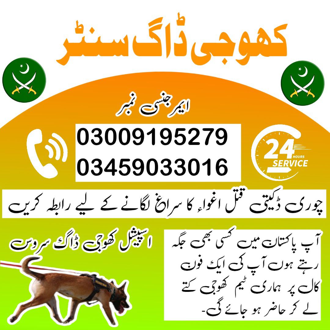 Khoji Dogs Okara 03005373788 | Khoji Kutta Service Okara