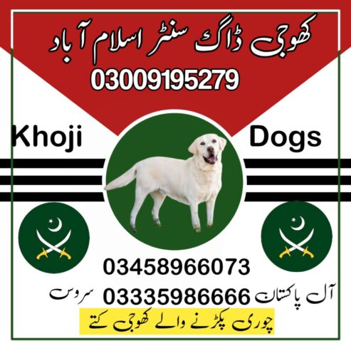 Army Dog Center Islamabad 03458966073