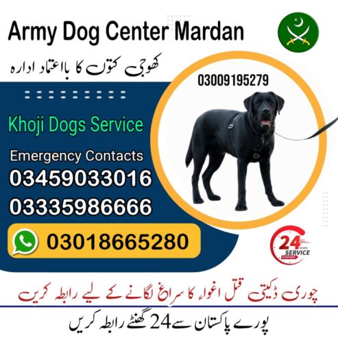 Army Dog Center Mardan 03458966073