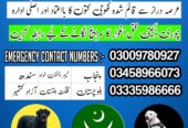Army Dog Center Swat 03458966073 (Khoji Dogs In Swat )