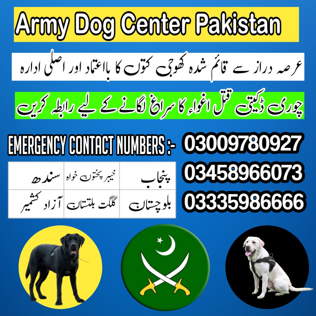 Army Dog Center Kohat 03018665280 | Khoji Dogs In Kohat