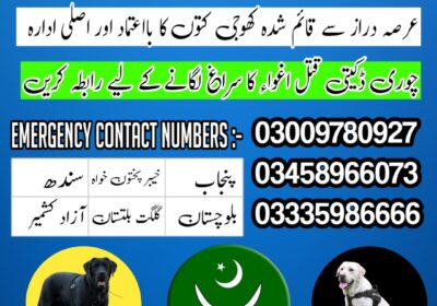 square-1-1-1736625569463-3