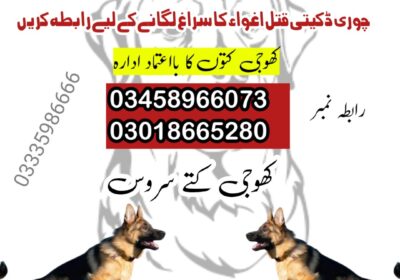 square-1-1-1739031619920