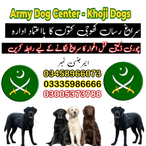 Army Dog Center Abbottabad 03018665280