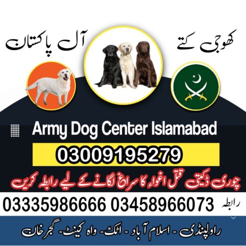 Khoji Dog Center Islamabad 03018665280 (کھوجی ڈاگ)