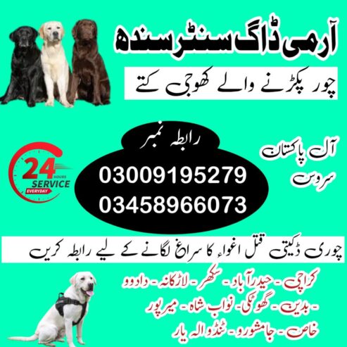 Army Dog Center Hyderabad Sindh Contact Number ! 03009195279